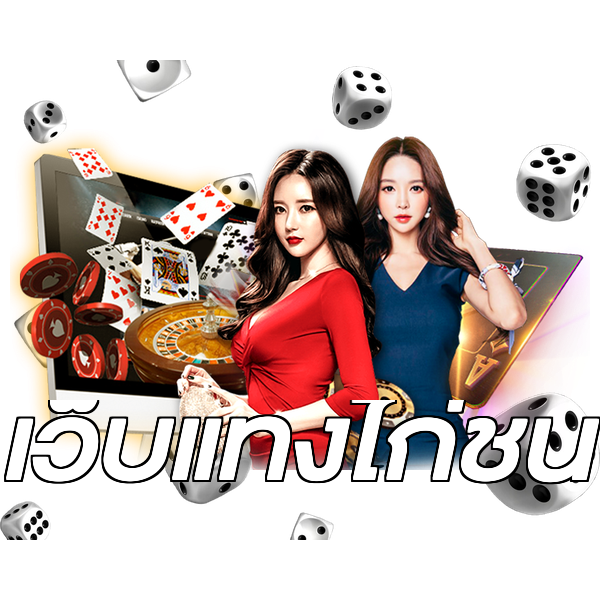 เว็บแทงไก่ชน